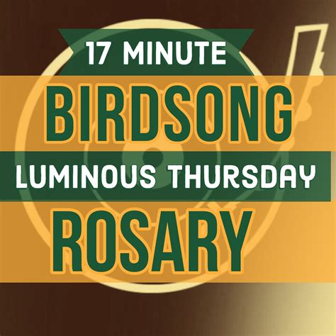 17 Minute Rosary - THURSDAY - Luminous - BIRDSONG - A Rosary Companion | Lyssna här | Poddtoppen.se