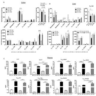 Sphingolipid Levels In Picogram Per Milligram Tissue Of Colon A And