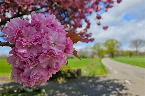 Op De Fiets Door Het Twentse Heuvelachtig Landschap Km Reisreport