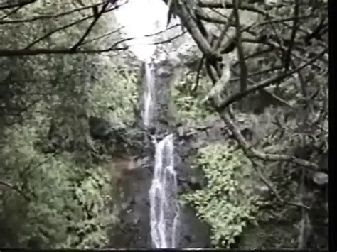 Melissa Hill Porn Videos 2025 Porn Star Sex Scenes XHamster