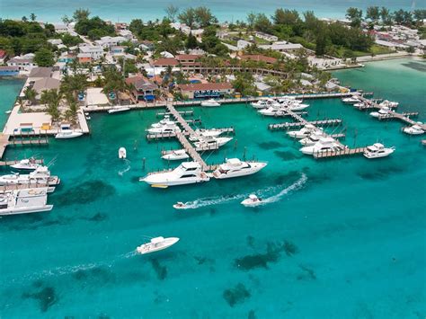 Bimini Big Game Club Resort And Marina Oyster Diving Trips