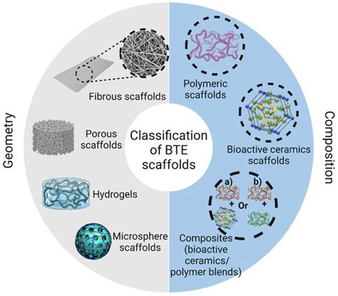 Bioengineering Free Full Text A Review Of 3D Polymeric Scaffolds