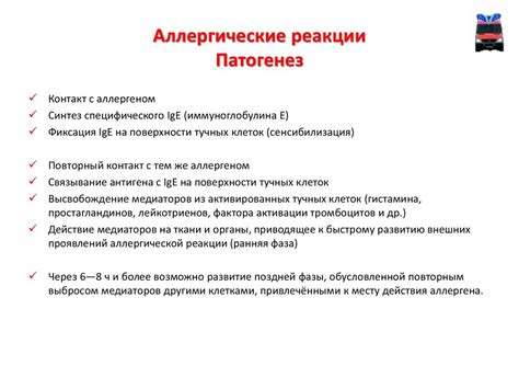 Аллергические реакции - презентация онлайн