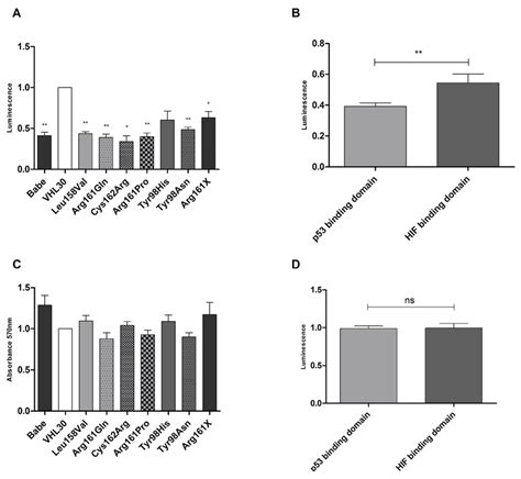 Effects Of Vhl Mutations On Apoptosis And Cell Proliferation A Download Scientific Diagram