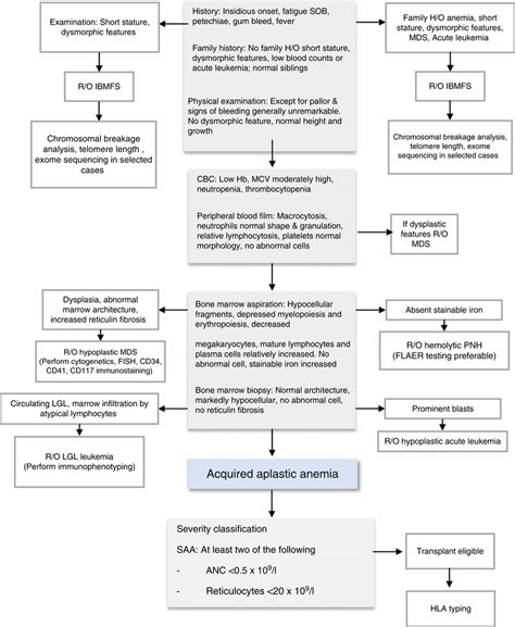 Diagnostic Algorithm For Aplastic Anemia Patients Essential Components