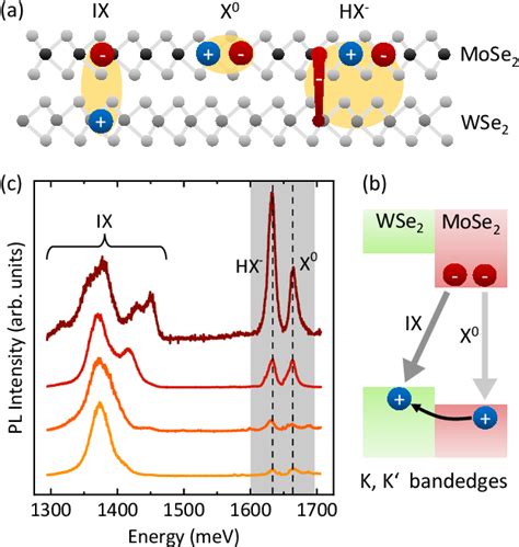 Figure 1 From Emergent Trion Phonon Coupling In Atomically