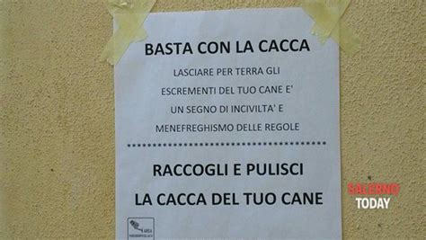 Basta Con La Cacca Avvisi Fai Da Te Contro Gli Incivili Nel Centro