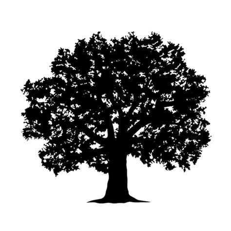 Oak Tree Silhouette Png