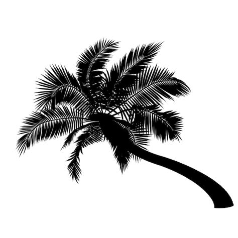 Premium Vector Shape Of Bent Coconut Palm Tree Vector Illustration Of