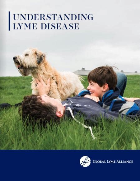 Guide To Understanding Lyme Disease