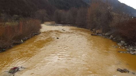 Somesul Mare A Fost Poluat Cu Noroi De Mina Din Rodna Ecomagazin Ro