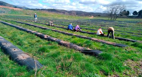 La Uex Participa En Un Proyecto Europeo Creando El Primer Paisaje