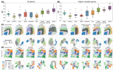 Comparison Of Detecting Layer Structure In Dlpfc Sections And