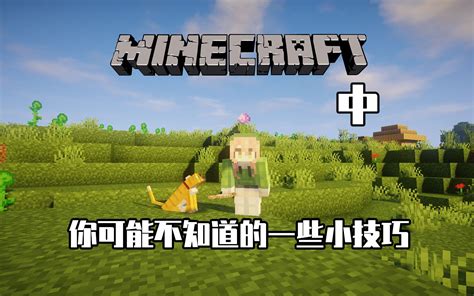 【minecraft】你可能不知道的一些小技巧 哔哩哔哩 Bilibili