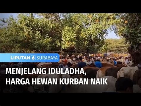 Harga Hewan Kurban Naik Jelang Iduladha Liputan Surabaya Youtube