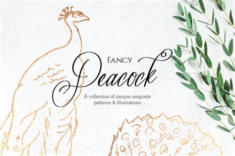 Fancy Peacock Collection 79810 Illustrations Design Bundles