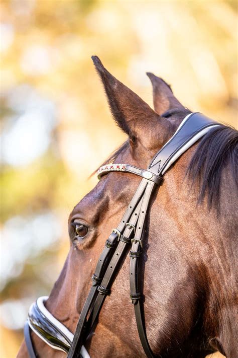 Naked Patent Flat Snaffle Bridle With White Trim Belle Equestrian
