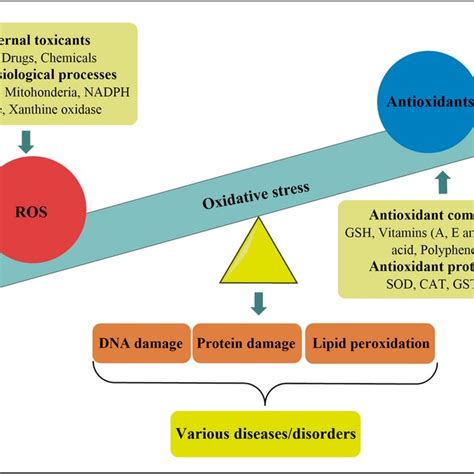 Schematic illustration of oxidative stress. Oxidative stress is defined ...