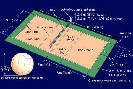 A Labelled Diagram Of A Volleyball Court