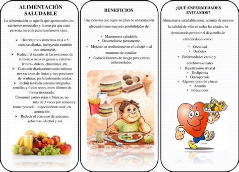 Trípticos De La Alimentación Saludable 【descargar】