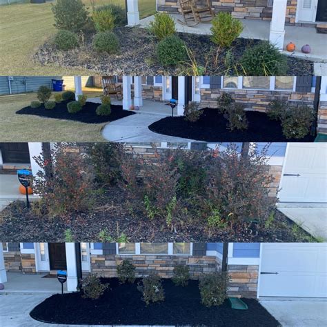 Manicure Lawn And Pressure Washing Services Grovetown Ga