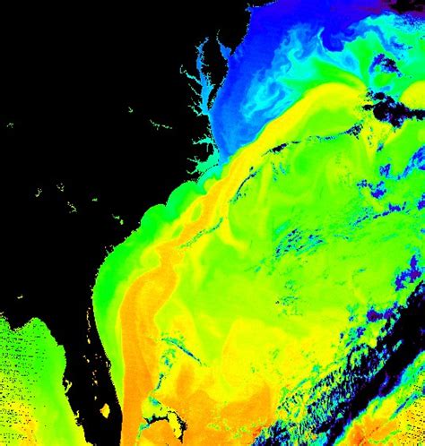 How Will Climate Change Impact the Gulf Stream? | Lamont-Doherty Earth Observatory