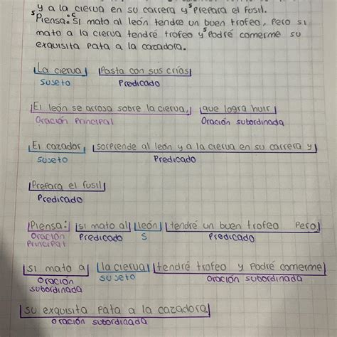 Oraciones Simples Y Compuestas Solo Quiero Que Alguien Me Diga Si