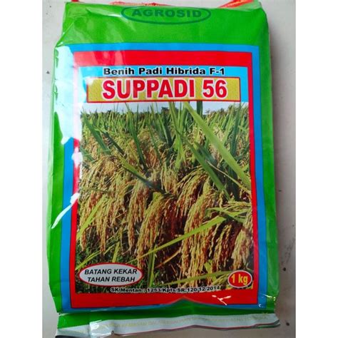 Jual Benih Padi Suppadi Padi Hibrida Kg Original Pabrik Shopee