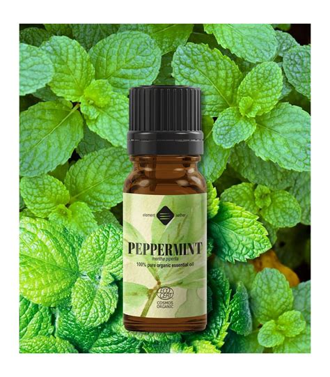 Peppermint Organic Pure Essential Oil Mentha Piperita