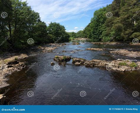 The River Tees At Gainford Stock Image Image Of View 117436615