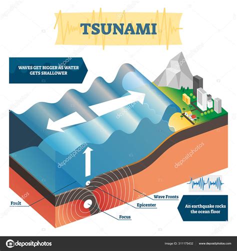 Ocean Wave Diagram