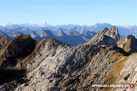 Blick vom Altmann auf Moor Jöchli und Wildhauser Schafberg BILDER