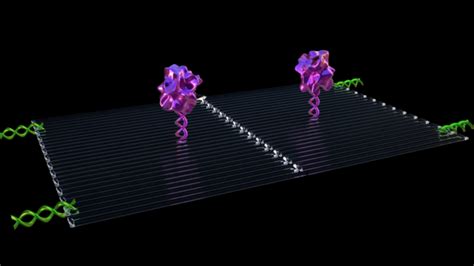 Cientistas desenvolvem nanorrobôs capazes de reduzir tumores e combater