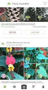 PlantNet Identificación Planta Aplicaciones en Google Play