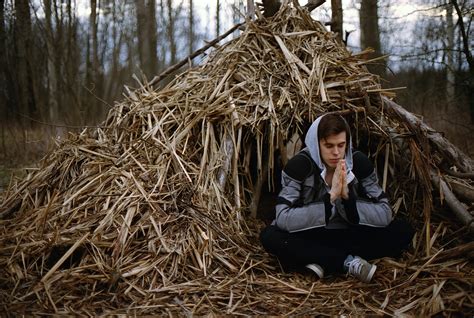 Images Gratuites arbre la nature forêt de plein air branche la