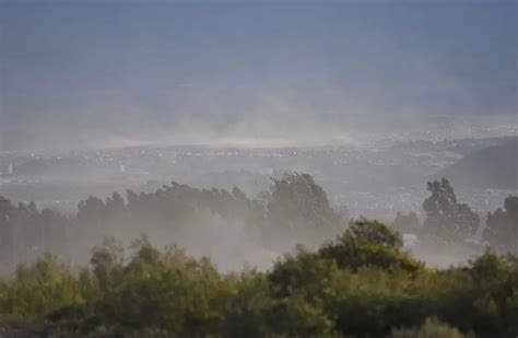 Por qué nos duele la cabeza cuando hay viento Zonda