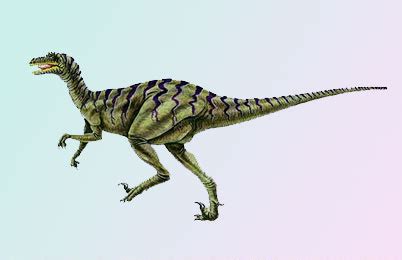 Dromaeosaurus Dinosaur, Facts | information - Dinosaur activity