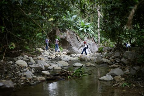 Qué hacer en Canoas Colima nueva Área Natural Protegida