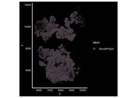 How To Construct A Spatial Object In Seurat Dna Confesses Data Speak