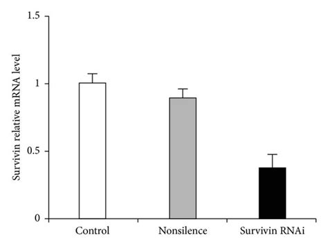 AP Positive Numbers In Survivin Overexpression Or Survivin Knockdown In