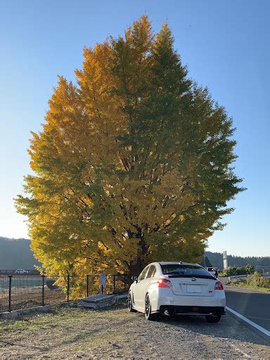 WRX STIのホイール交換ステアリングホイール交換アルミホイール交換ADVAN Racing TC4に関するカスタム事例車のカスタム