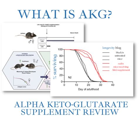 Calcium Alpha Ketoglutarate Supplement Review How It Works