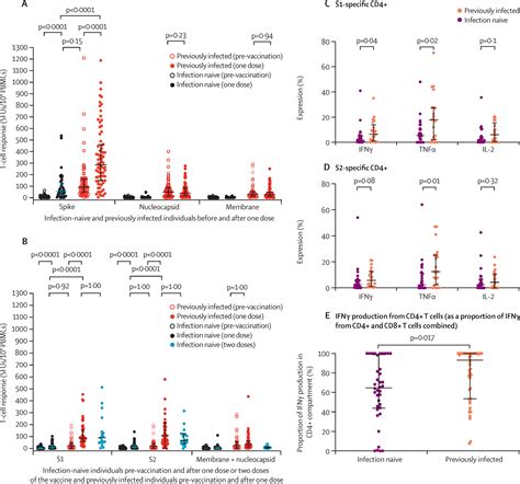 T Cell And Antibody Responses To First Bnt B Vaccine Dose In