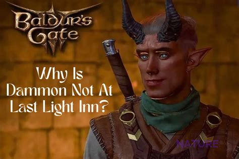 Why Is Dammon Not At Last Light Inn In BG3? - The Nature Hero