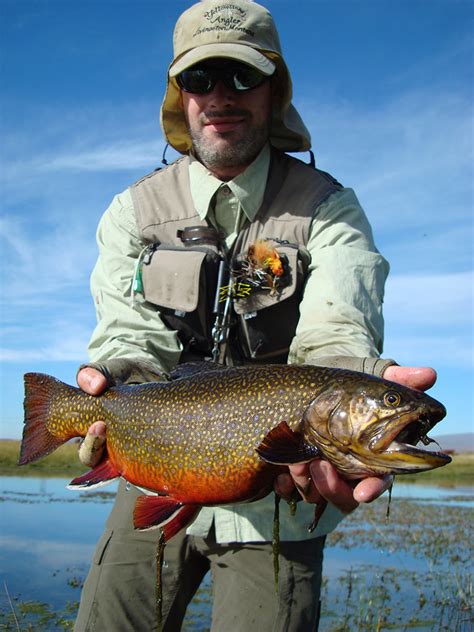 Shop For Fly Fishing Gear Online Inventory Yellowstone Angler