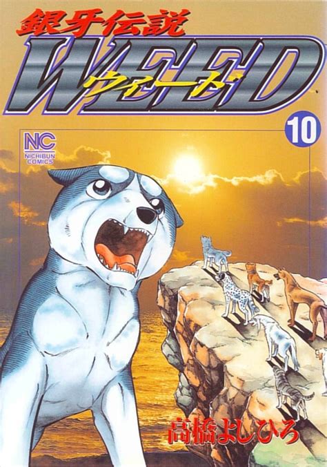 Volume 10 Gdwgallery Ginga Wiki Fandom