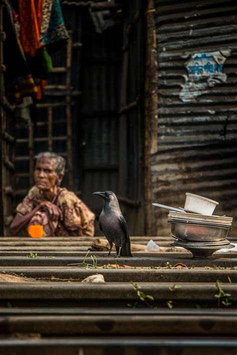 Urban Meaning In Bengali 7