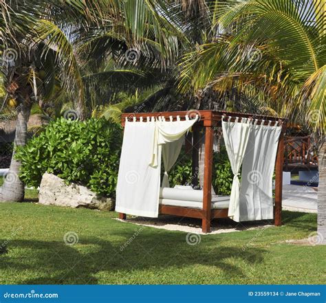 Dream bed in Paradise stock photo. Image of escape, coastline - 23559134