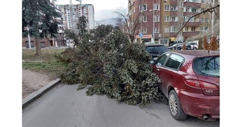 Бял вятър ни издуха