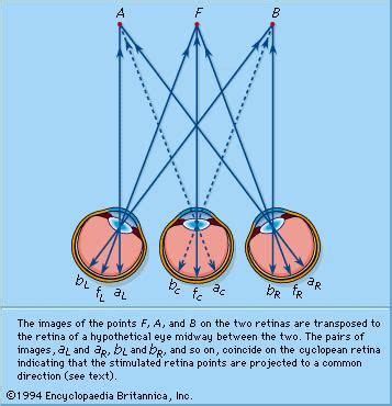 Space Perception Britannica